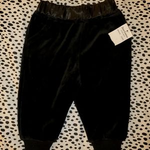 NWT Juicy Couture Black Velvet Joggers. 3-6m